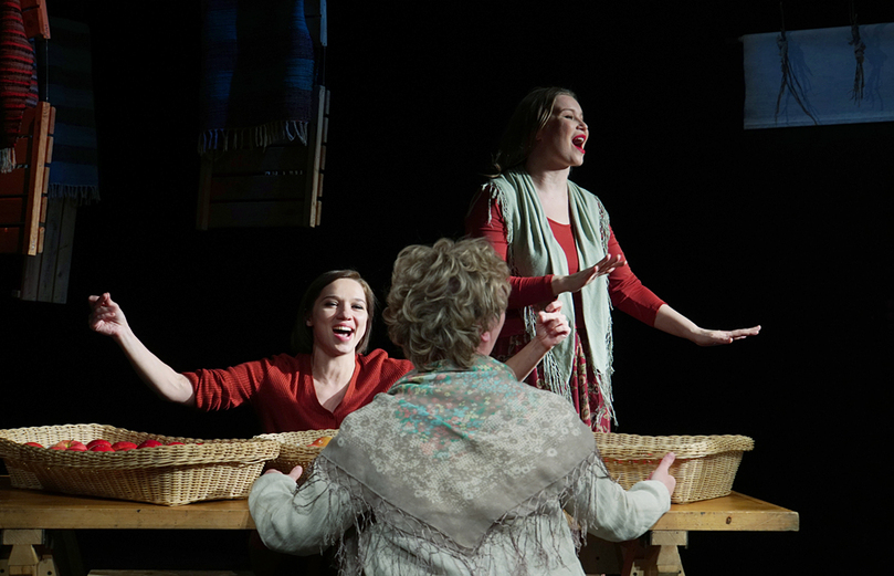 Пролетный гусь