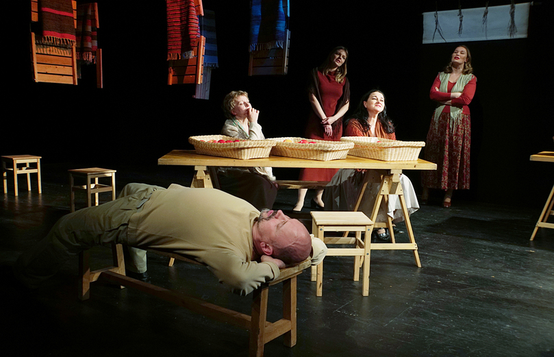 Пролетный гусь