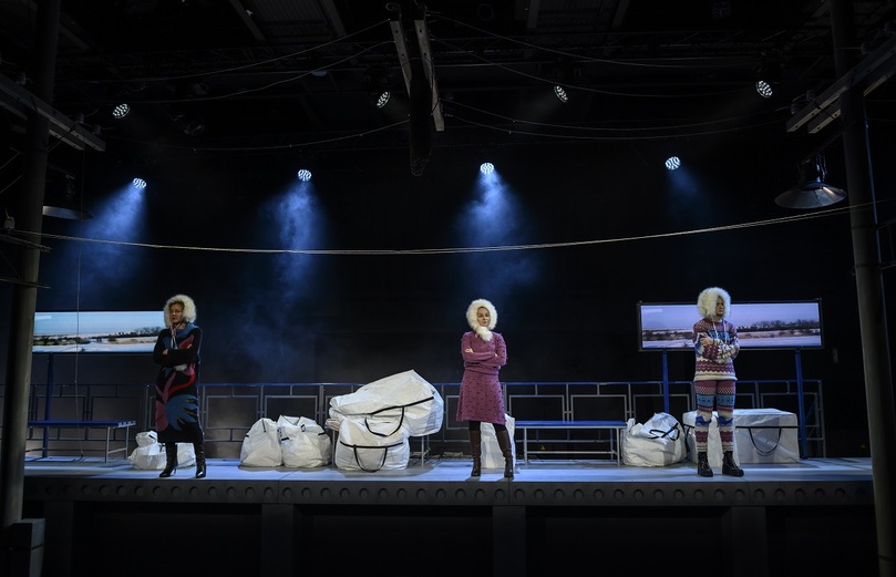 Полярная болезнь