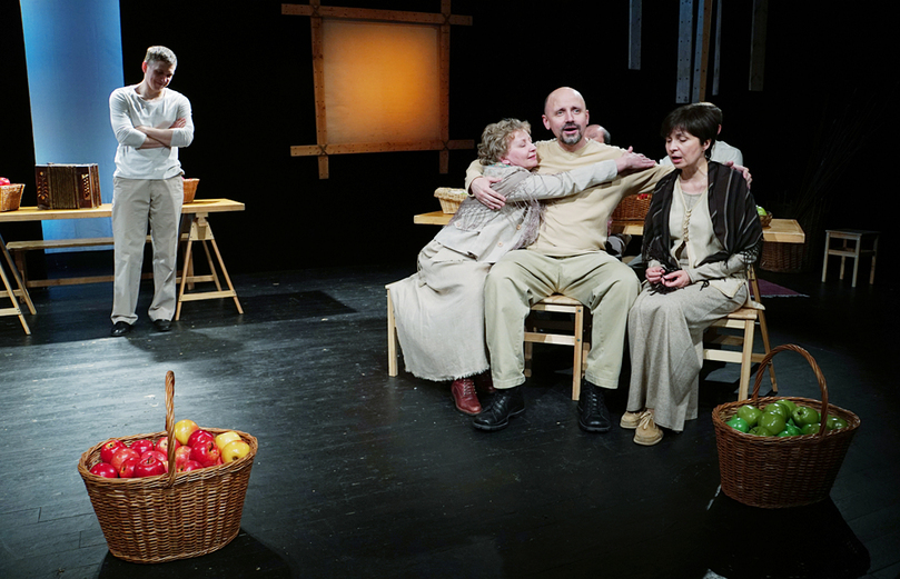 Пролетный гусь