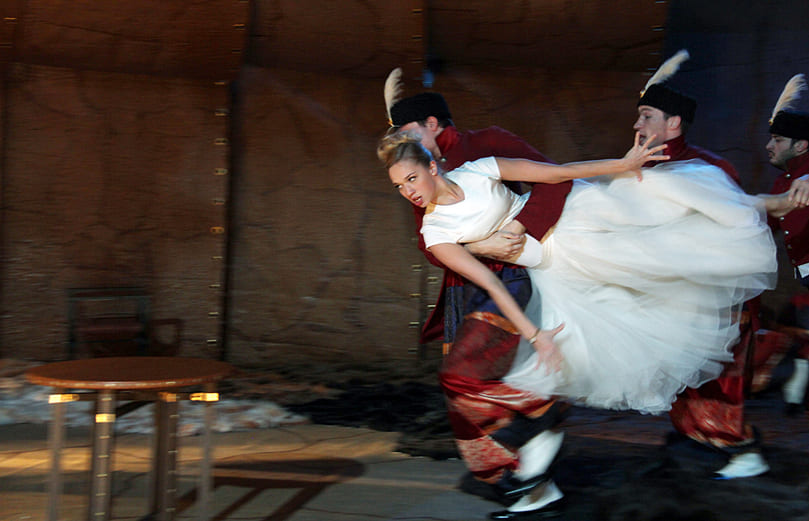 Спящий принц